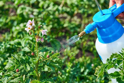 Naravni pesticid iz naravnega mila
